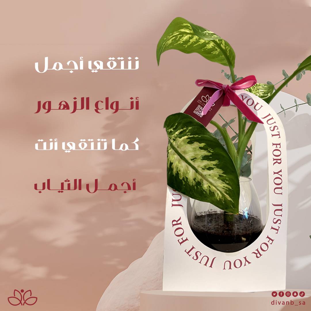 باقة ورد أنيقة