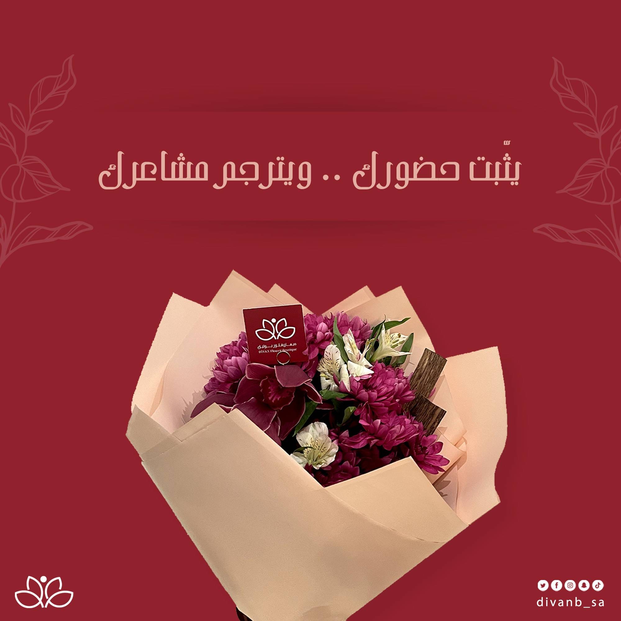 مشروع ديفان